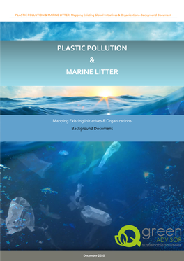 MARINE LITTER: Mapping Existing Global Initiatives & Organizations-Background Document