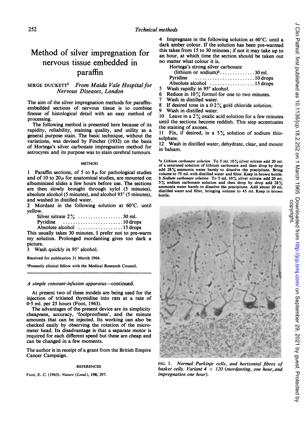 Method of Silver Impregnation for Nervous Tissue Embedded in Paraffin