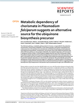 Metabolic Dependency of Chorismate in Plasmodium Falciparum Suggests