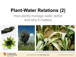 (2) How Plants Manage Water Deficit and Why It Matters