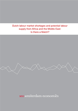 Dutch Labour Market Shortages and Potential Labour Supply from Africa and the Middle East: Is There a Match?