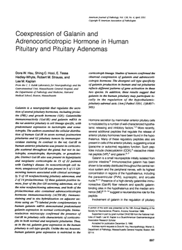 Adrenocorticotropic Hormone in Human Pituitary and Pituitary Adenomas