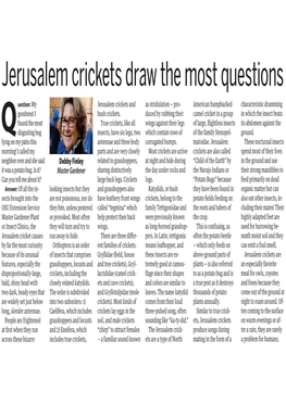 Jerusalem Crickets Draw the Most Questions
