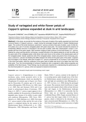 Study of Variegated and White Flower Petals of Capparis Spinosa Expanded at Dusk in Arid Landscapes