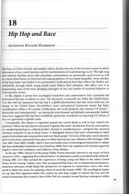 Hip Hop and Race