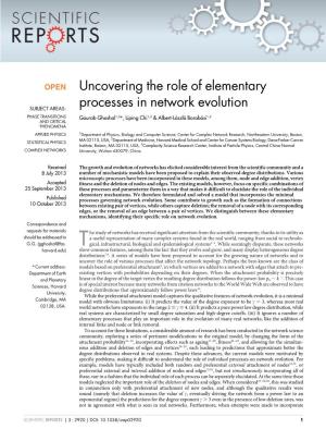 Uncovering the Role of Elementary Processes in Network Evolution