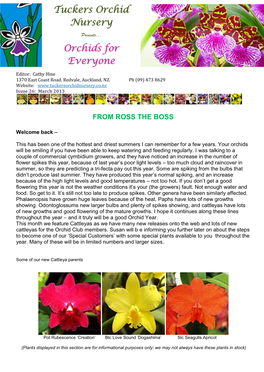 Orchids for Everyone Mar 2013 Cattleyas.Pdf