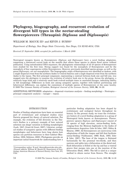 Phylogeny, Biogeography, and Recurrent Evolution of Divergent Bill Types in the Nectar-Stealing ﬂowerpiercers (Thraupini: Diglossa and Diglossopis)