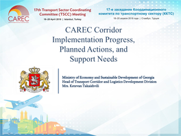 Georgia Head of Transport Corridor and Logistics Development Division Mrs