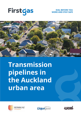 Transmission Pipelines in the Auckland Urban Area 02