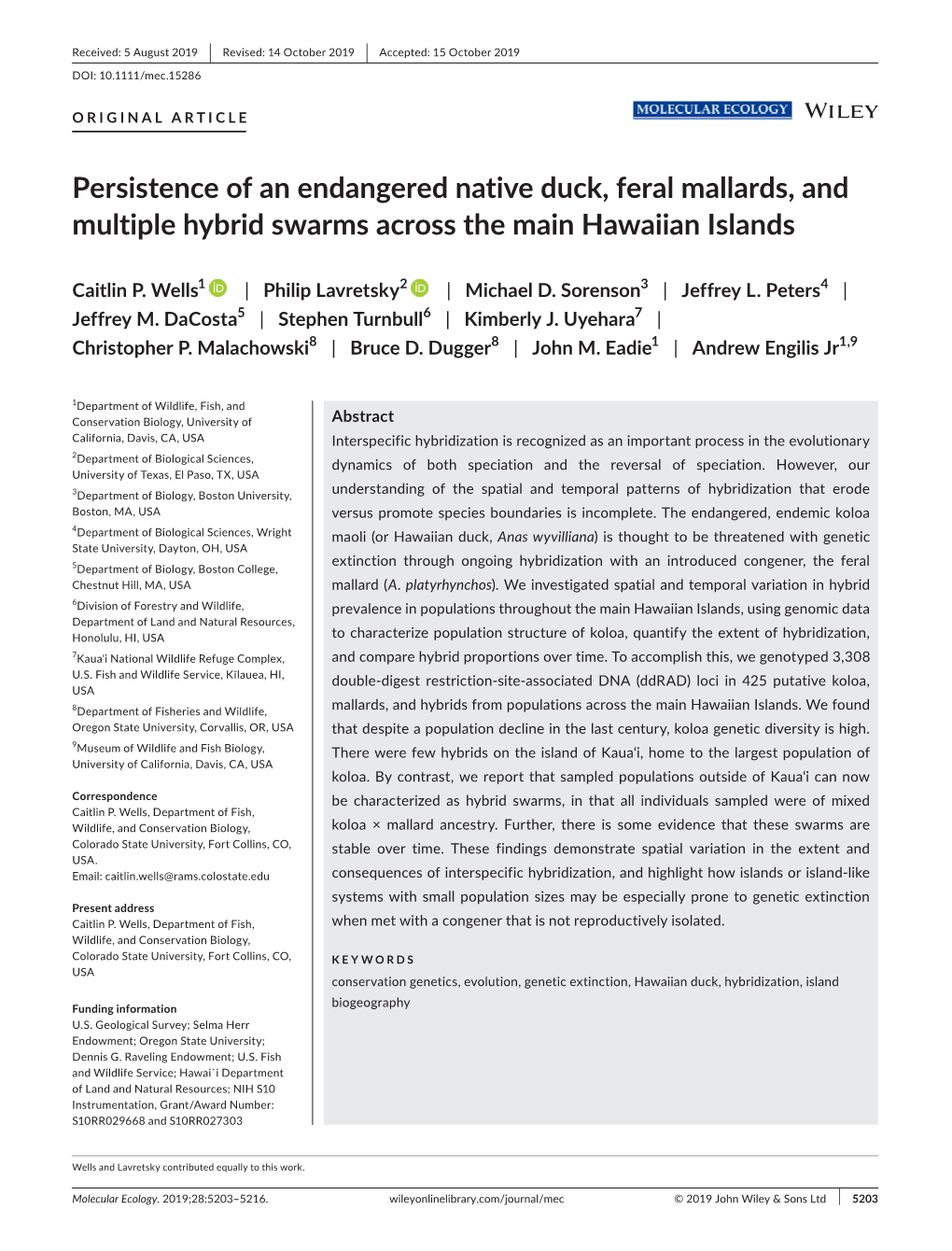 Persistence of an Endangered Native Duck, Feral Mallards, and Multiple Hybrid Swarms Across the Main Hawaiian Islands