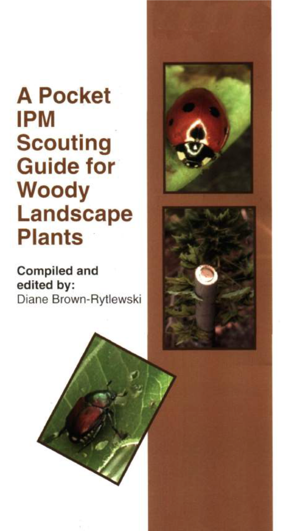 A Pocket IPM Scouting Guide for Woody Landscape Plants Compiled and Edited By: Diane Brown-Rytlewski a Pocket IPM Scouting Guide for Woody Landscape Plants