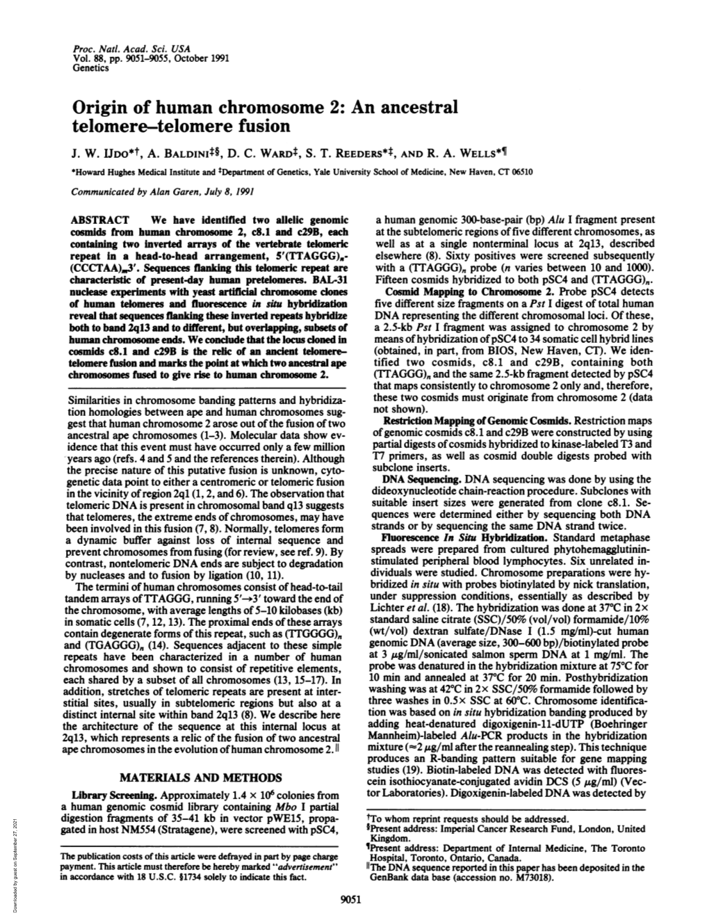 Origin of Human Chromosome 2: an Ancestral Telomere-Telomere Fusion J