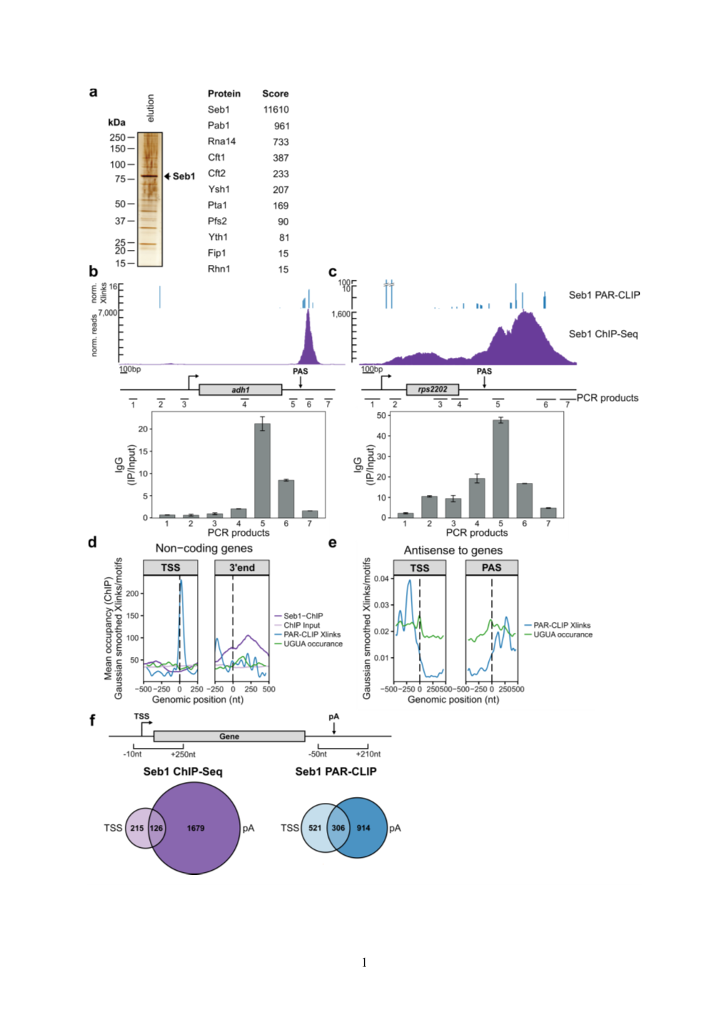 Supplementary Figure 1. Seb1 Interacts with the CF-CPF Complex