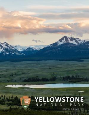 Yellowstone State of the Park: March 2021