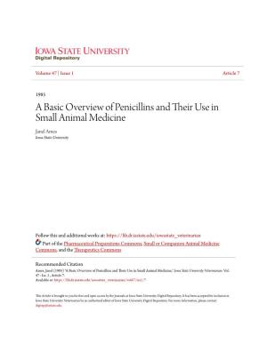 A Basic Overview of Penicillins and Their Use in Small Animal Medicine