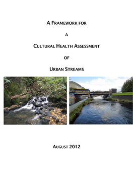 Urban Streams