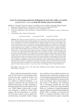 Lack of Xenoestrogen-Induced Vitellogenin in Male Olive Ridley Sea Turtles (Lepidochelys Olivacea) from the Pacific Coast of Costa Rica