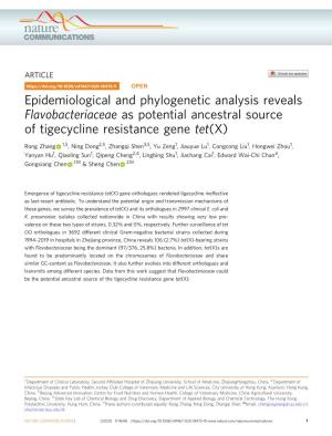 Epidemiological and Phylogenetic Analysis Reveals Flavobacteriaceae As Potential Ancestral Source of Tigecycline Resistance Gene Tet(X)