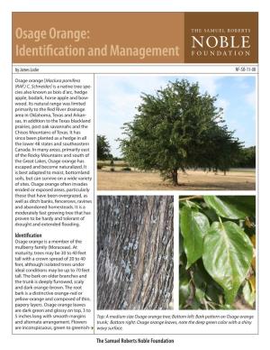 Osage Orange: Identification and Management by James Locke NF-SO-11-08