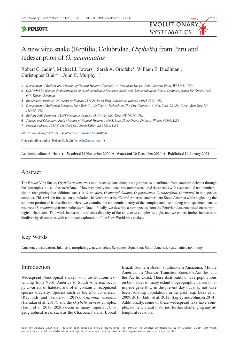 A New Vine Snake (Reptilia, Colubridae, Oxybelis) from Peru and Redescription of O