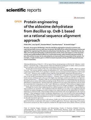 Protein Engineering of the Aldoxime Dehydratase from Bacillus Sp. Oxb