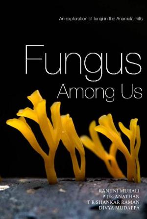 Fungus Among Us: an Exploration of Fungi in the Anamalai Hills. Nature Conservation Foundation, Mysore