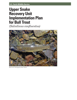 Upper Snake Recovery Unit Implementation Plan for Bull Trout (Salvelinus Confluentus)