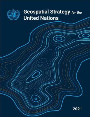 Geospatial Strategy for the United Nations