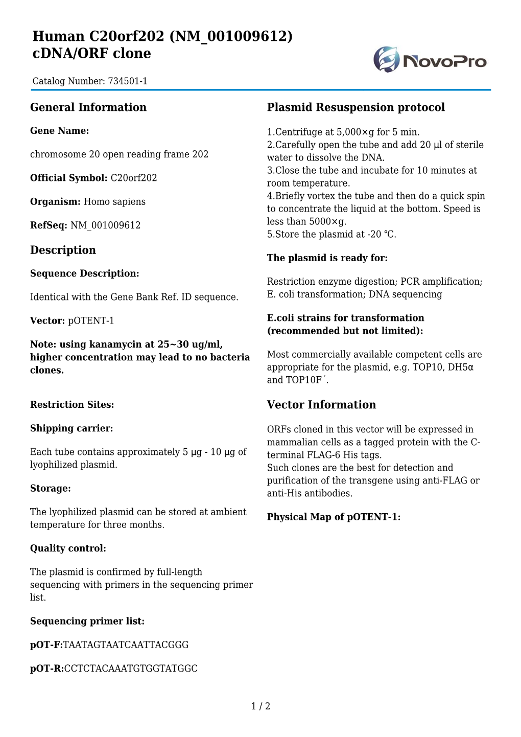 Human C20orf202 (NM 001009612) Cdna/ORF Clone