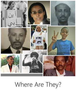 Where Are They? Eritrea’S Disappeared Page | 2