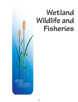 Wetland Wildlife and Fisheries