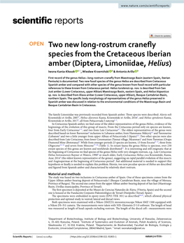 Two New Long-Rostrum Cranefly Species from the Cretaceous