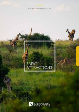 Safari Attractions Contents