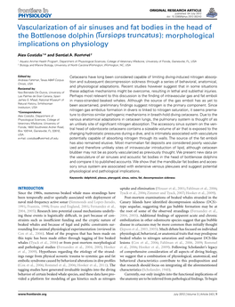 Vascularization of Air Sinuses and Fat Bodies in the Head of the Bottlenose Dolphin (Tursiops Truncatus): Morphological Implications on Physiology