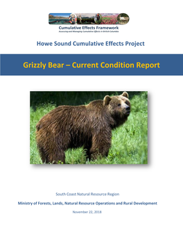 Grizzly Bear – Current Condition Report