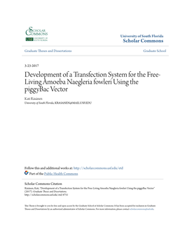 Development of a Transfection System for the Free-Living Amoeba Naegleria Fowleri Using the Piggybac Vector" (2017)