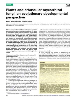 Plants and Arbuscular Mycorrhizal Fungi: an Evolutionary-Developmental Perspective