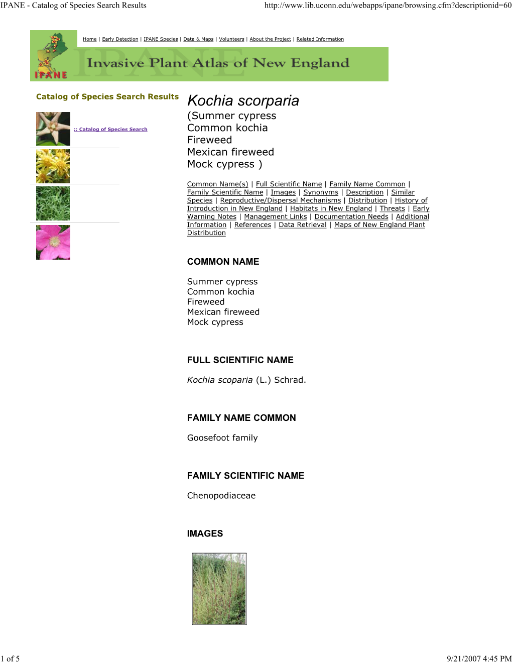 IPANE - Catalog of Species Search Results