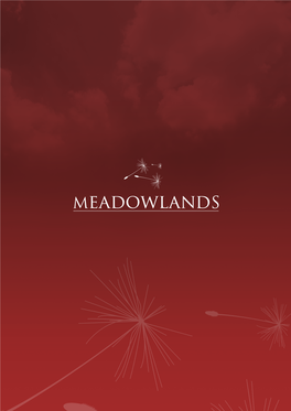 Meadowlands 1