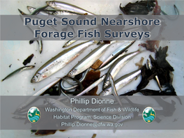 Documenting Habitat for Puget Sound Forage Fish