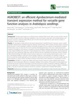 AGROBEST: an Efficient Agrobacterium-Mediated Transient