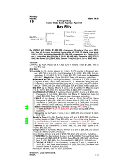 18 Taylor Made Sales Agency, Agent IX Bay Filly