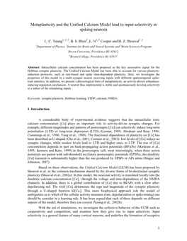 Metaplasticity and the Unified Calcium Plasticity Model Lead to Input