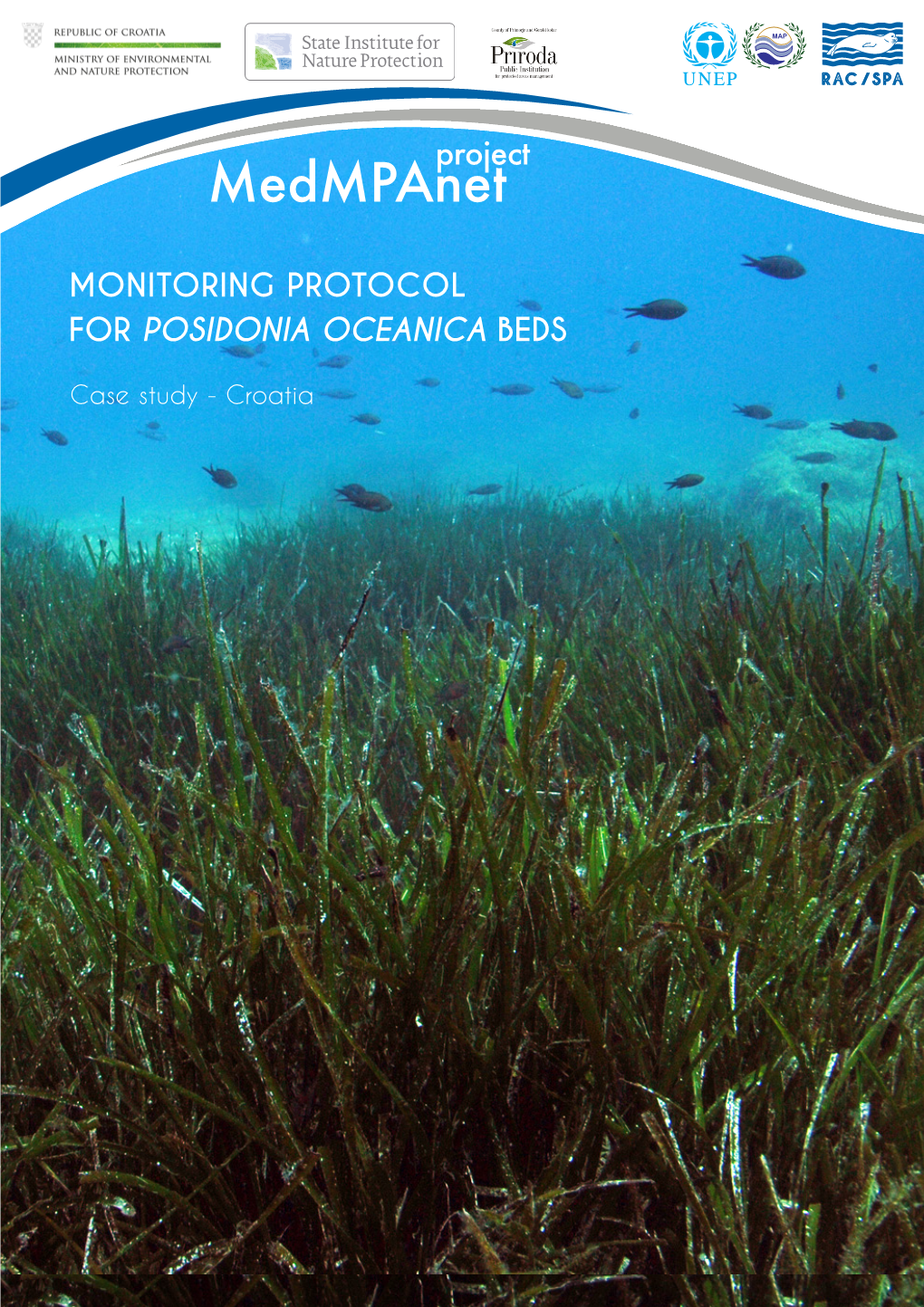 Monitoring Protocol for Posidonia Oceanica Beds