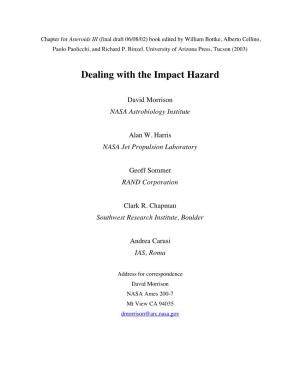 Dealing with the Impact Hazard