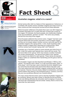 Fact Sheet3 Australian Magpies: What’S in a Name?