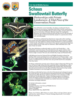 Schaus Swallowtail Butterfly Partnerships with Private Landowners: a Vital Piece of the Conservation Puzzle