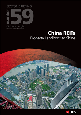 China Reits Property Landlords to Shine 19