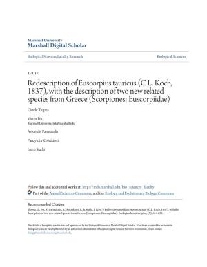 Redescription of Euscorpius Tauricus (C.L